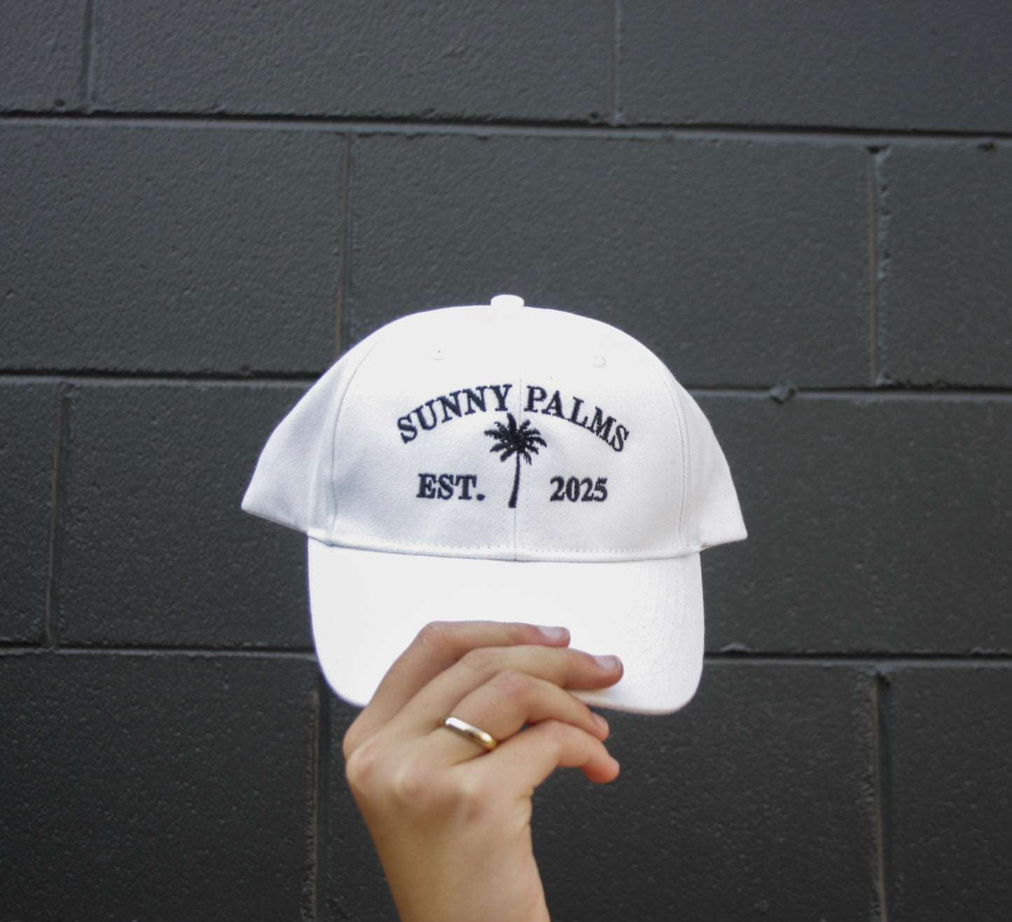 Palm Hat